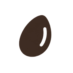 A seed